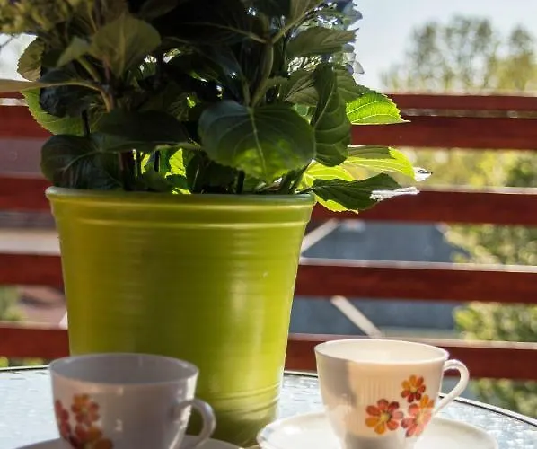 Vakantiehuis Sunshine Velence